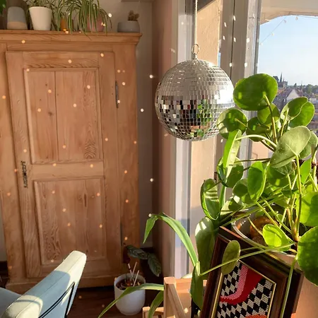 Petit Nid Strasbourgeois * Strasbourg