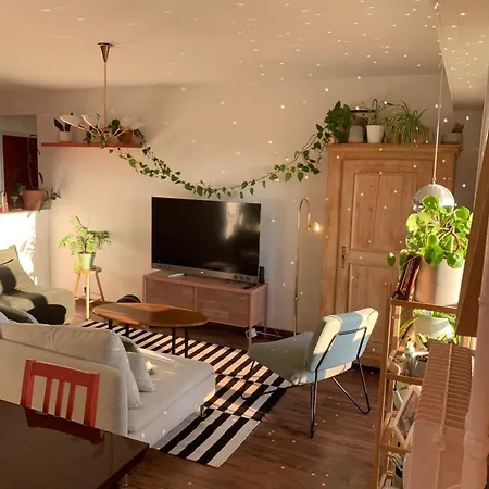 Petit Nid Strasbourgeois Apartamento *