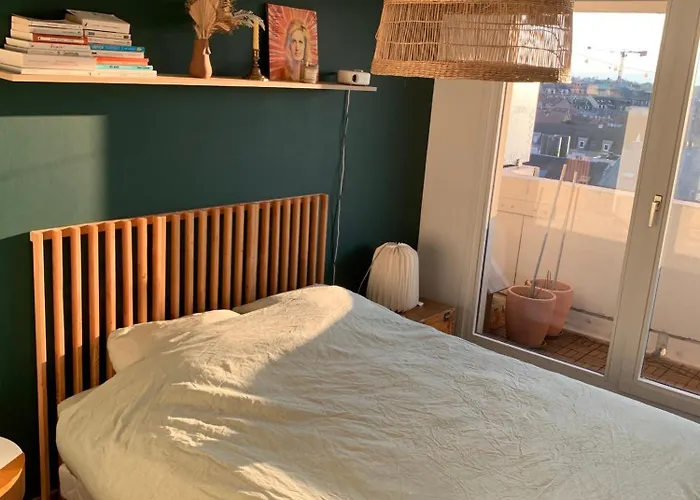 Petit Nid Strasbourgeois Apartamento